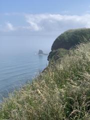 Looking back at Black Nab